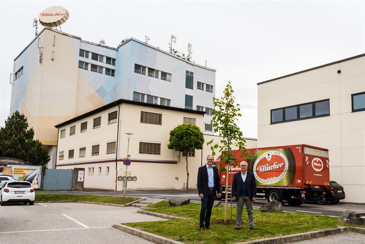 Braumeister Manuel Düregger und Thomas Santler, regionaler Verkaufsdirektor, begutachten den neu gepflanzten Baum bei der Brauerei in Villach.