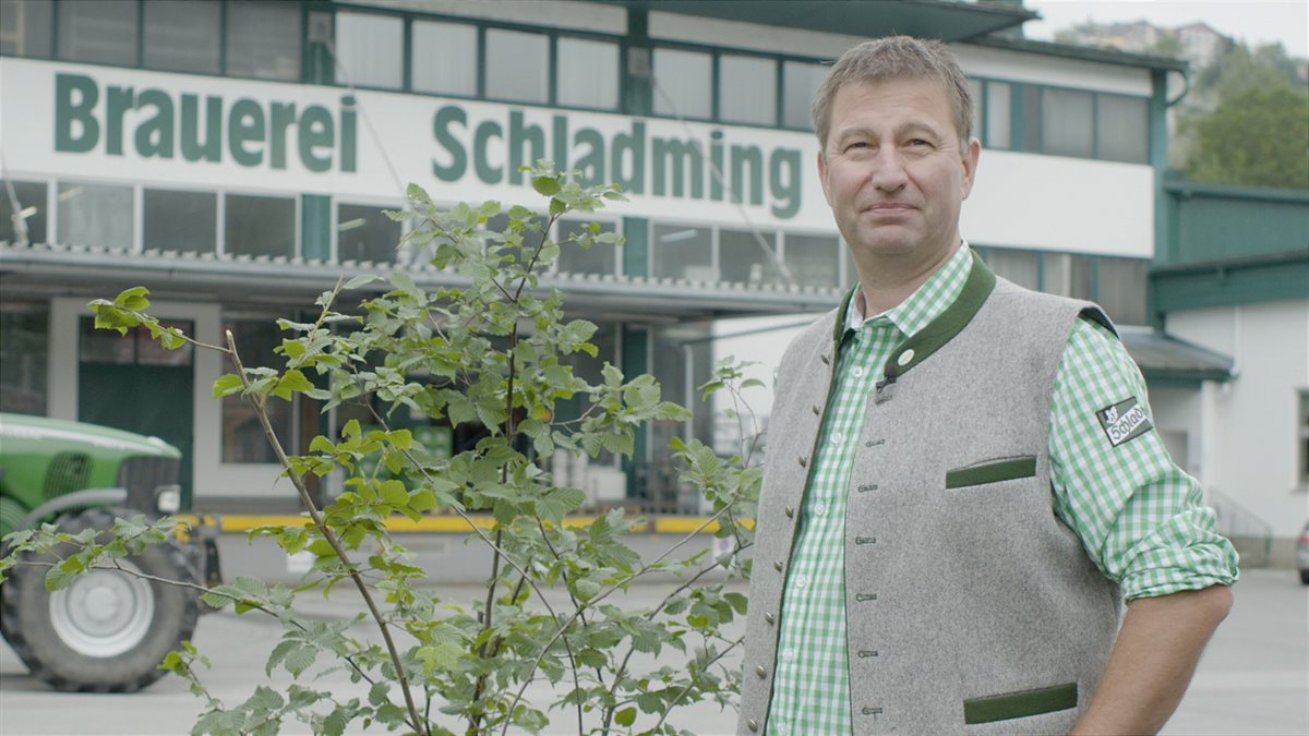 Braumeister Rudolf Schaflinger hat im Herbst am Gelände der Grünen Brauerei Schladming eine Buchenhecke gepflanzt.