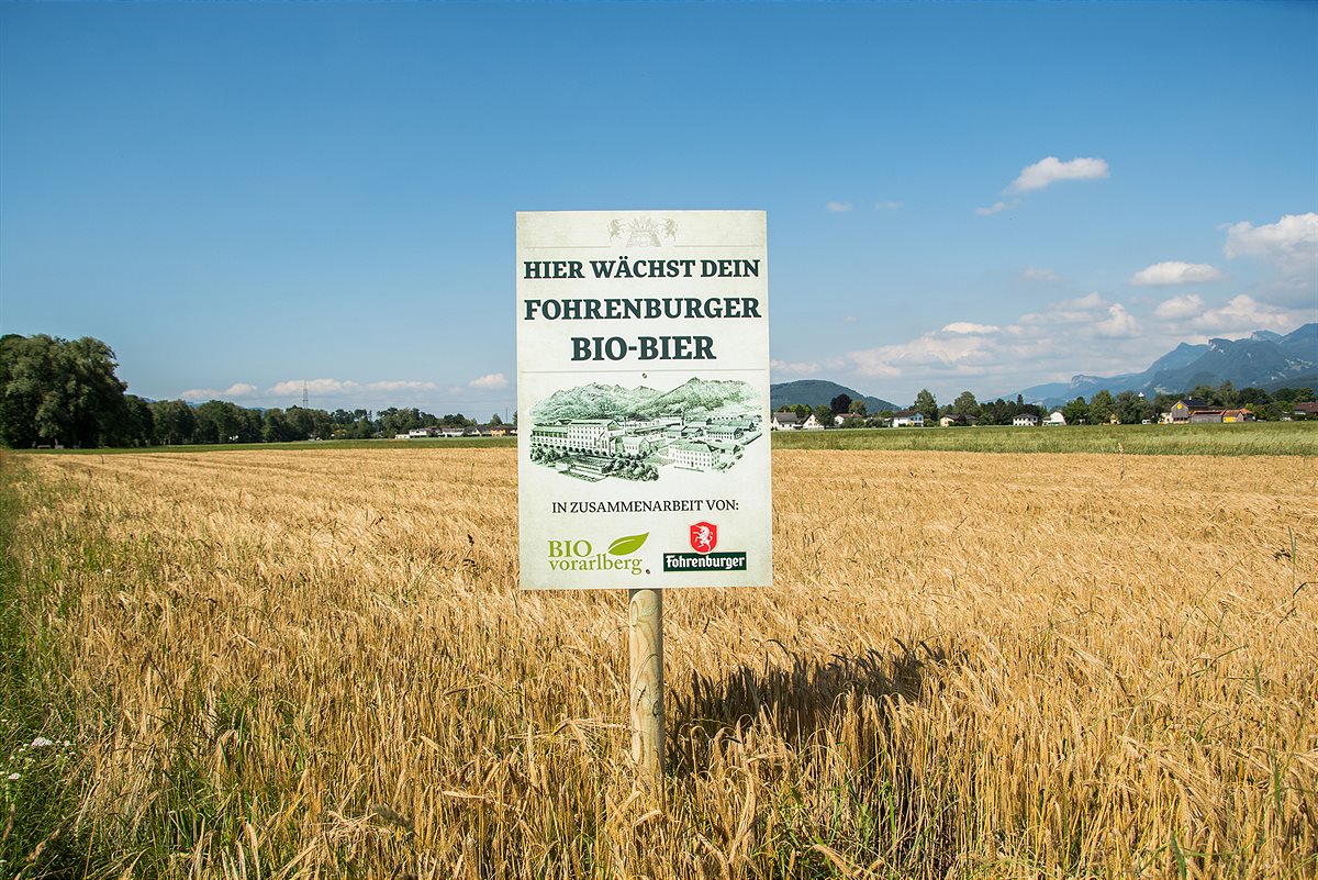 In Vorarlberg bauen sieben Bio-Bauern Braugerste für das 100 % regionale Biobier, das Fohrenburger Braumeister Bio Hofbier, an.