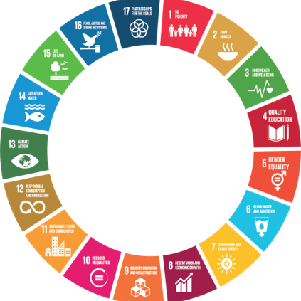 Die Erfüllung der Sustainable Development Goals (SDGs) erfordern transformative Partnerschaften