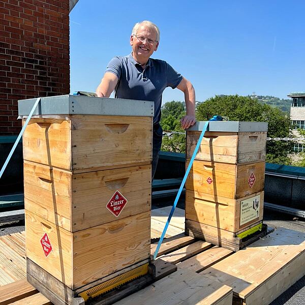 Urbane Bienenpatenschaft: Honig vom Dach der neuen Linzer Brauerei