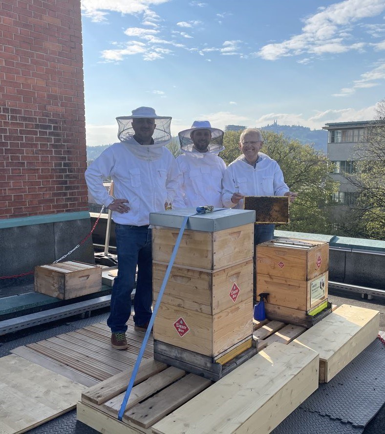 Urbane Bienenpatenschaft: Honig vom Dach der neuen Linzer Brauerei